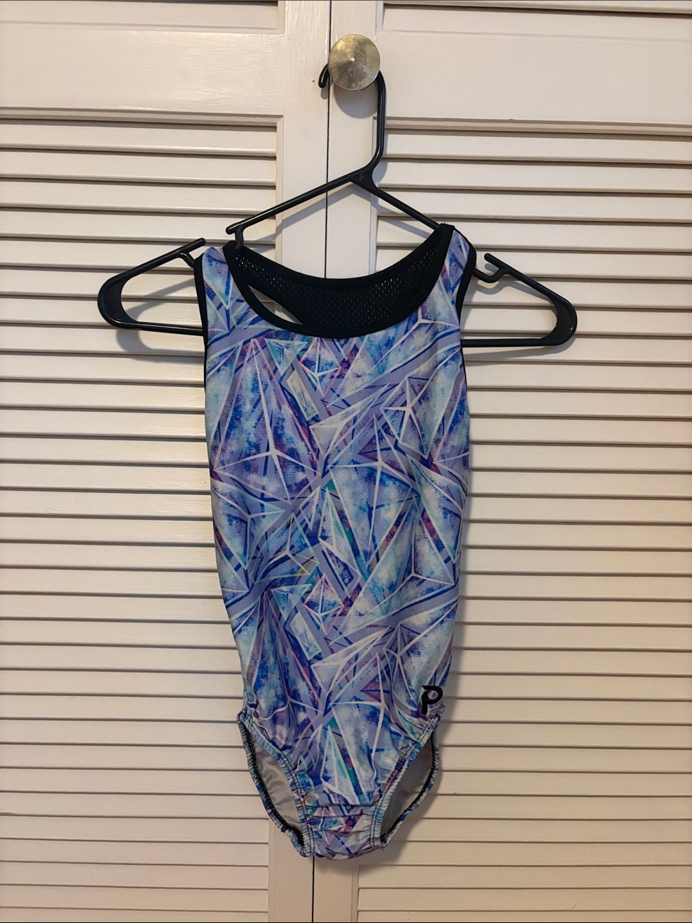 Plum Leotard